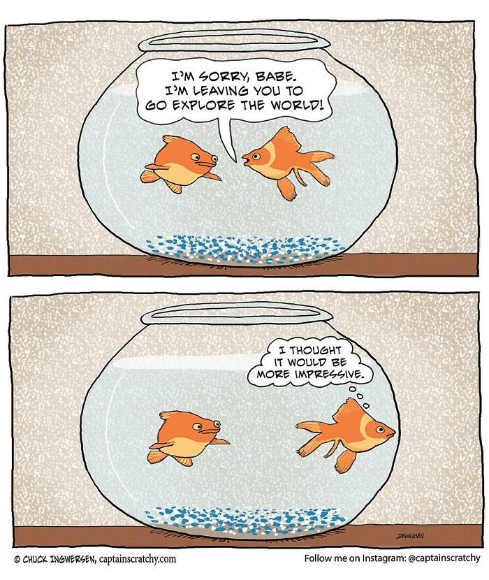 Comic featuring animals in funny situations with two goldfish in a bowl discussing exploring the world.