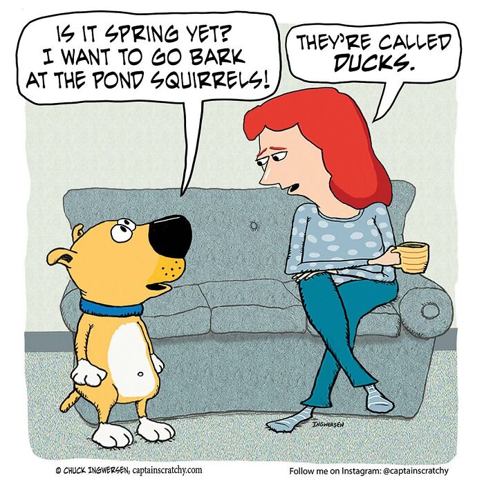 Dog talks about barking at pond squirrels while woman corrects him, featured in Captain Scratchy comics with animals in funny situations.