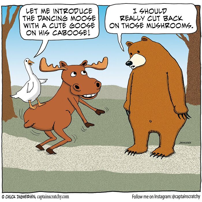 Funny animal comic by Captain Scratchy showing a dancing moose with a goose and a bear commenting on mushrooms.