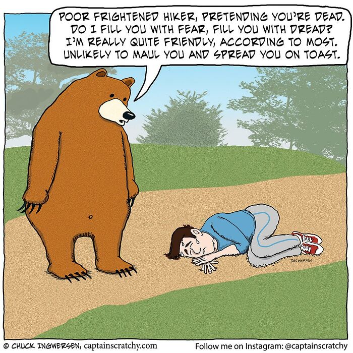 Bear talking to a frightened hiker pretending to be dead in a funny animal comic by Captain Scratchy.