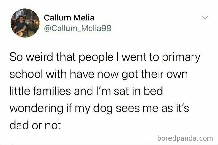 Funny meme about growing up British, comparing life milestones and wondering if a dog sees its owner as a parent.