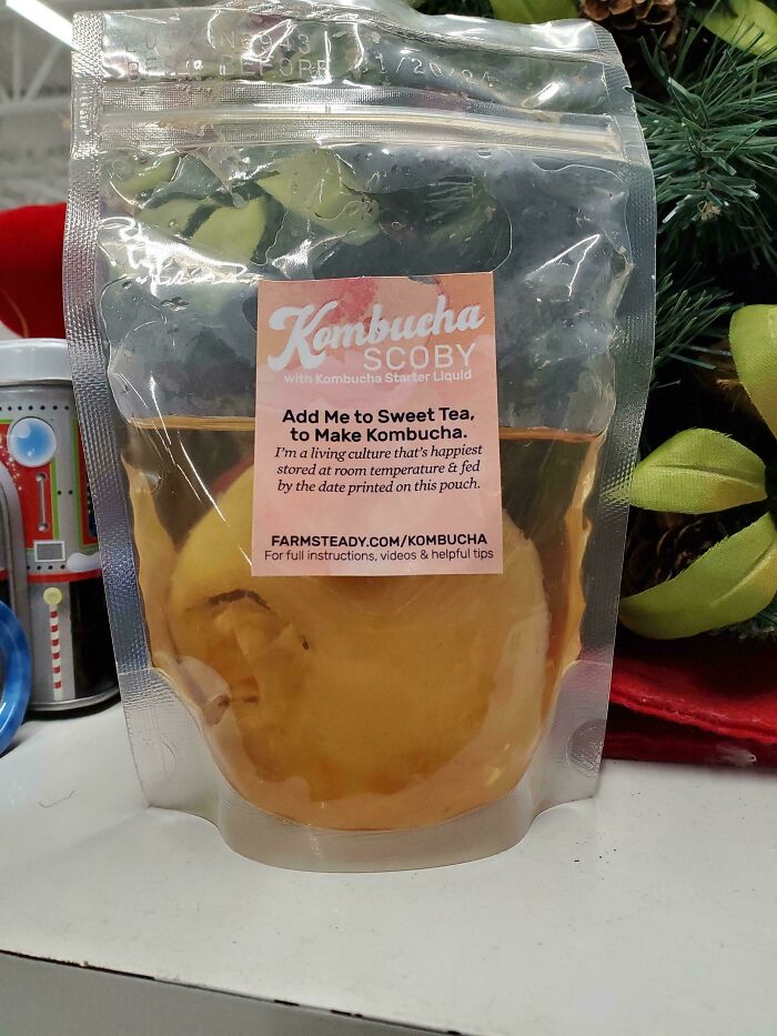 Kombucha SCOBY pack found at Goodwill, a hidden gem for making homemade kombucha with sweet tea.
