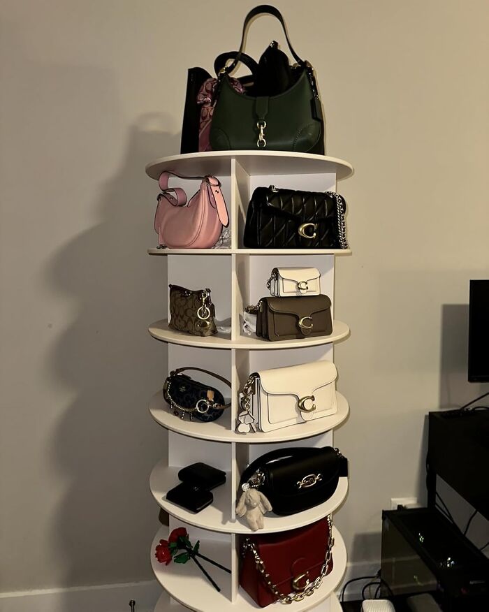 Display of trendsetting treasures: a variety of designer handbags on a multi-tier shelf.