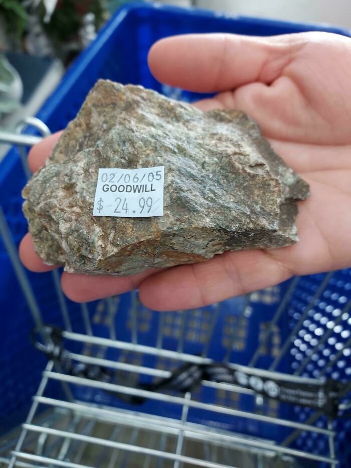 Hand holding a rock with a $24.99 price tag from Goodwill, showcasing a hidden gem in a shopping cart.