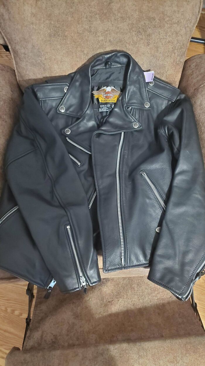 Black leather jacket with silver zippers found as a hidden gem at Goodwill, placed on a beige chair.