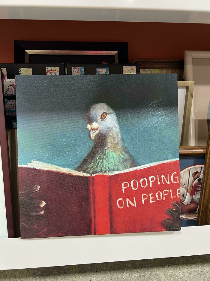 Pigeon reading a book titled "Pooping on People" in a collection of thrift store hidden gems.