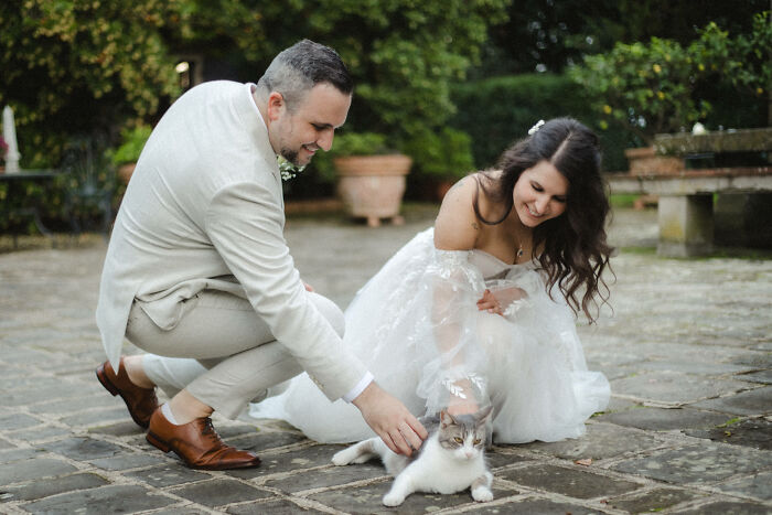 Just Married, But Cats Are Still Priority