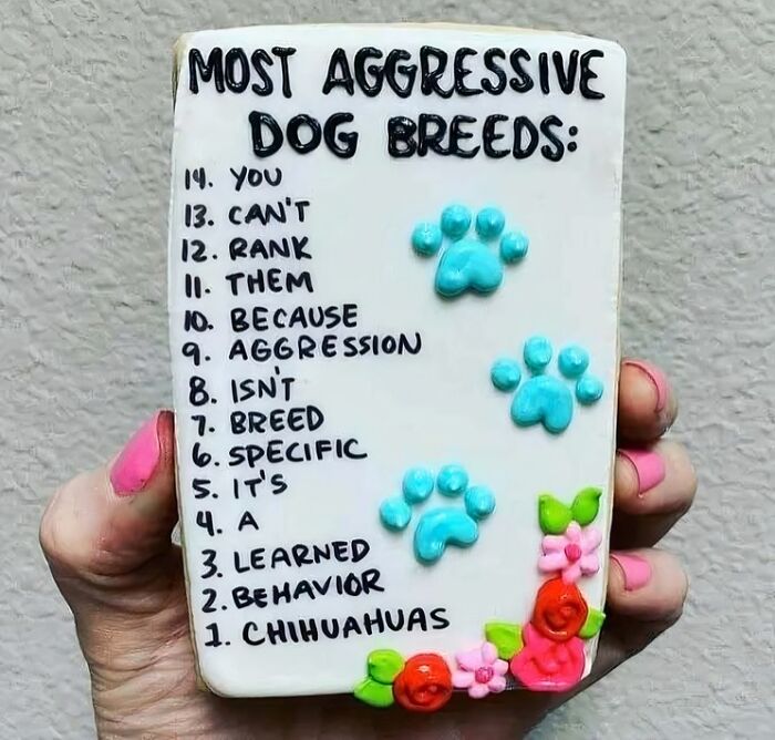 Hand holding a humorous dog meme listing most aggressive dog breeds with colorful paw prints and flowers.