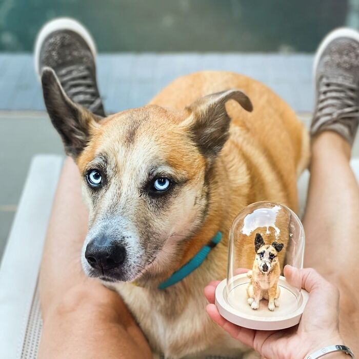 Dog with striking blue eyes next to a cute felted version under a glass dome, showcasing pet art creativity.