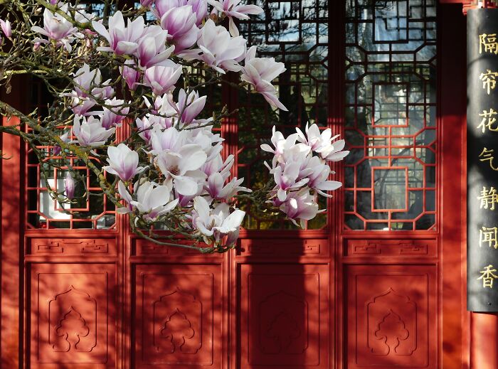 Last Week I´ve Been In Berlin And Took These 39 Pictures