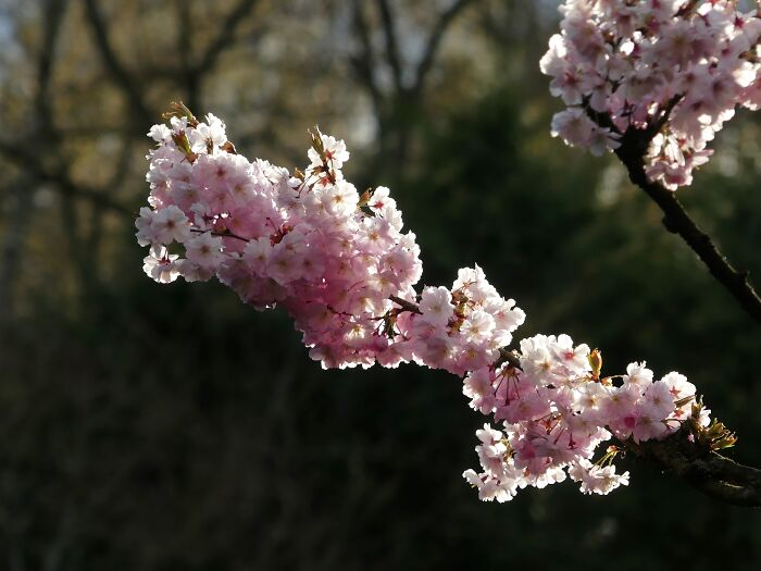 Last Week I´ve Been In Berlin And Took These 39 Pictures