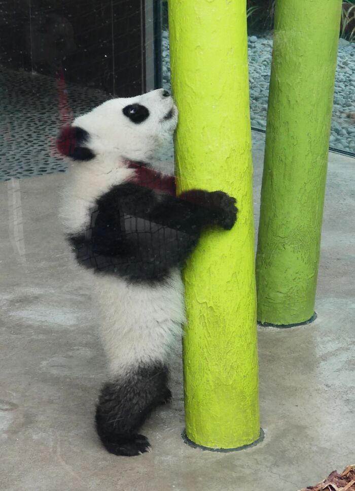 Last Week I´ve Been In Berlin And Took These 39 Pictures