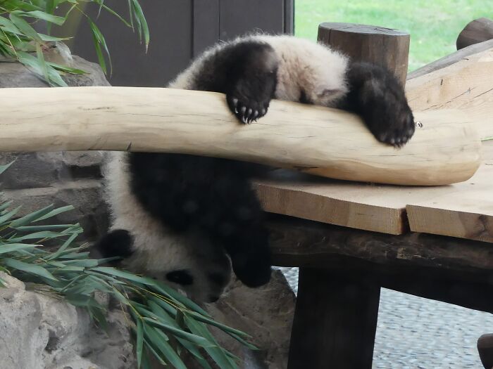 Last Week I´ve Been In Berlin And Took These 39 Pictures