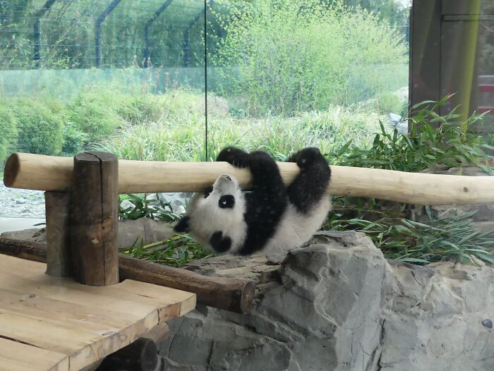 Last Week I´ve Been In Berlin And Took These 39 Pictures