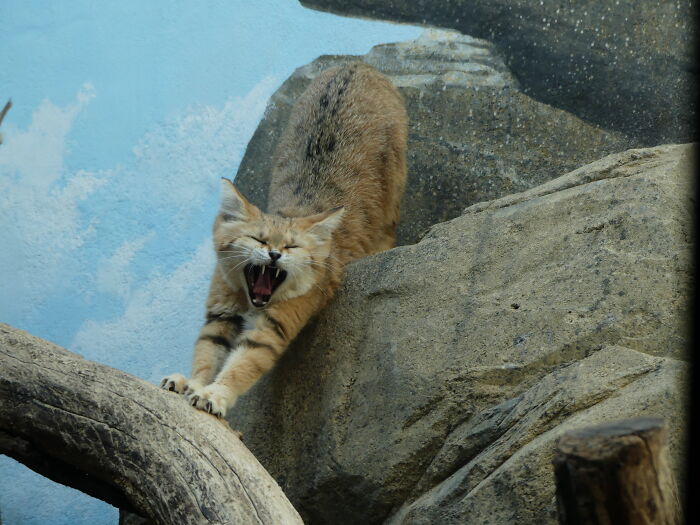 Last Week I´ve Been In Berlin And Took These 39 Pictures