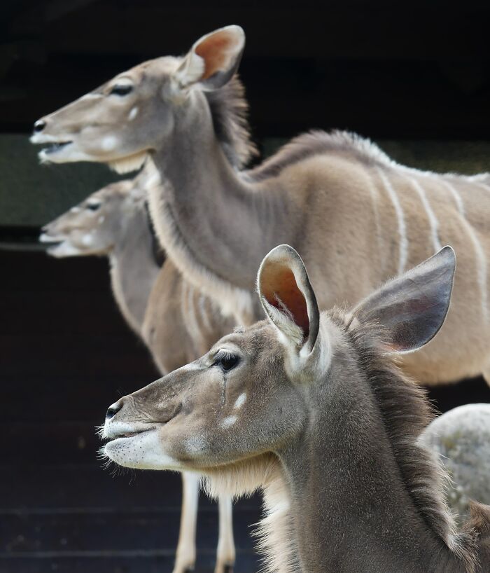 Last Week I´ve Been In Berlin And Took These 39 Pictures