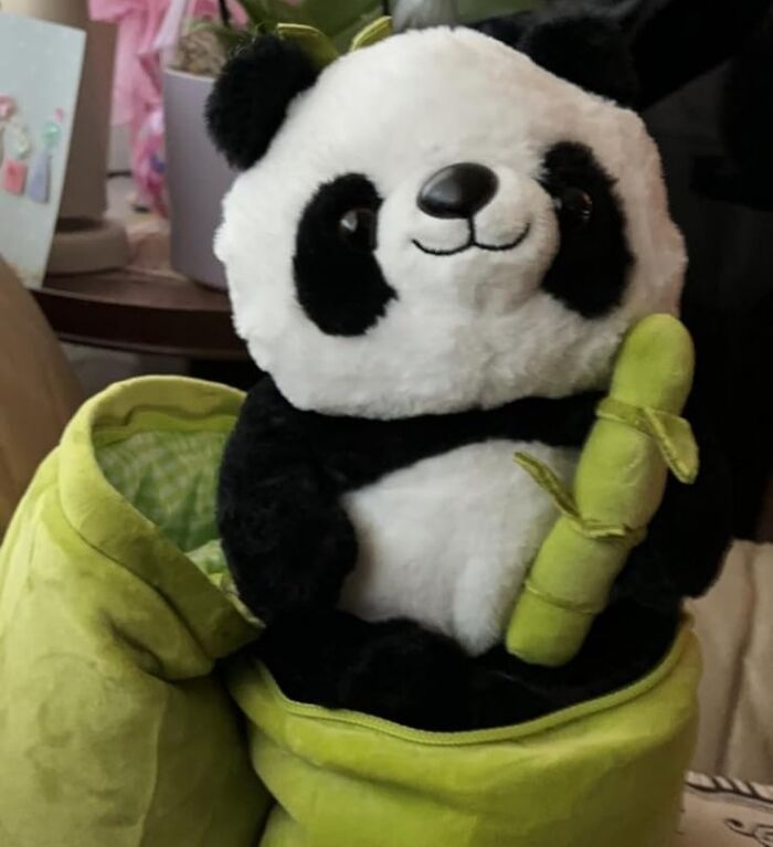 Plush panda toy holding bamboo, symbolizing the Bored Panda children's book launch.