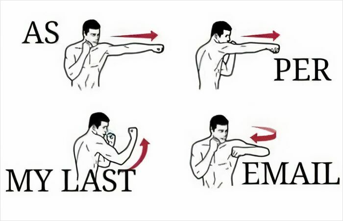 Boxing cartoon depicting "As Per My Last Email," humorously illustrating relatable work meme concept.