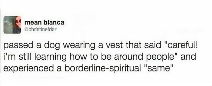 Relatable anti-social meme with a tweet about a vest-wearing dog learning to be around people.