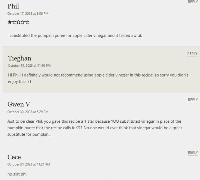 Online comments criticizing a recipe substitution where apple cider vinegar replaced pumpkin puree.