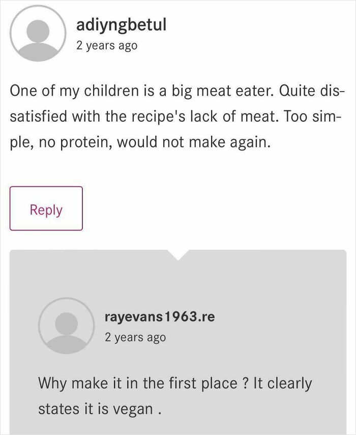 Comment thread discussing a recipe with a disappointed review and a reply pointing out it's vegan.