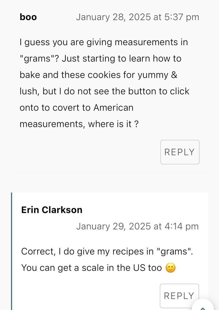 Online comment exchange discussing recipe measurements in grams versus American units.