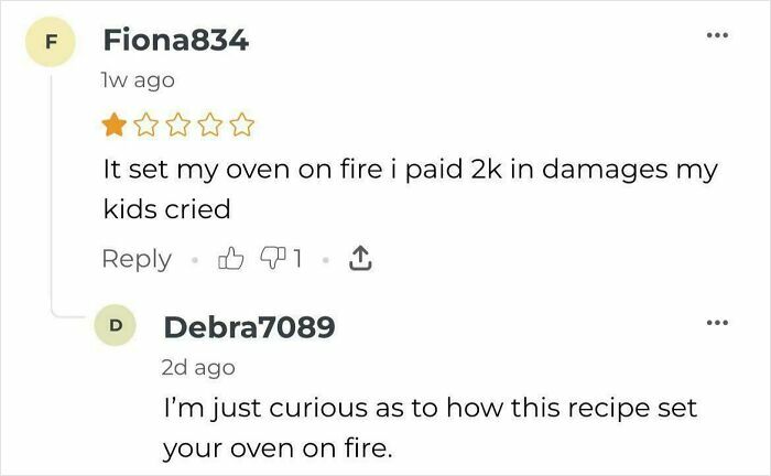 Recipe mishap review with oven fire and damages comment.