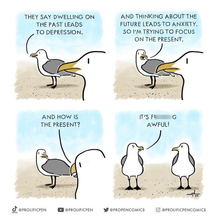 Seagulls discussing funny human behavior about depression, anxiety, and the present in Yanni Davros comic.