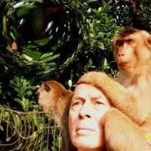 englishcorrection avatar