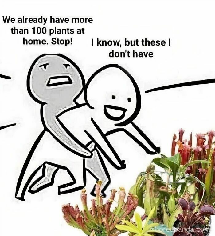 Cartoon of person trying to collect more plants despite having many at home, depicting a plant owner's dilemma.