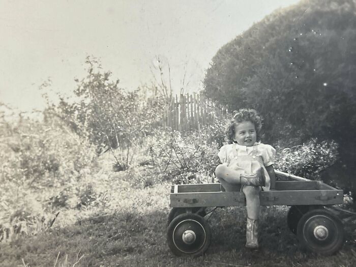Old photo of a child sitting in a wooden cart, surrounded by garden greenery, evoking a sense of past life beauty.