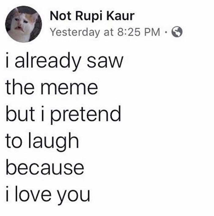Cat meme about love, reads "I already saw the meme but I pretend to laugh because I love you."
