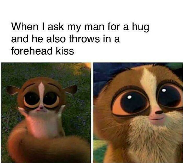 Cute animal with big eyes in a love meme about hugs and forehead kisses.