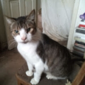 jessicamellor avatar