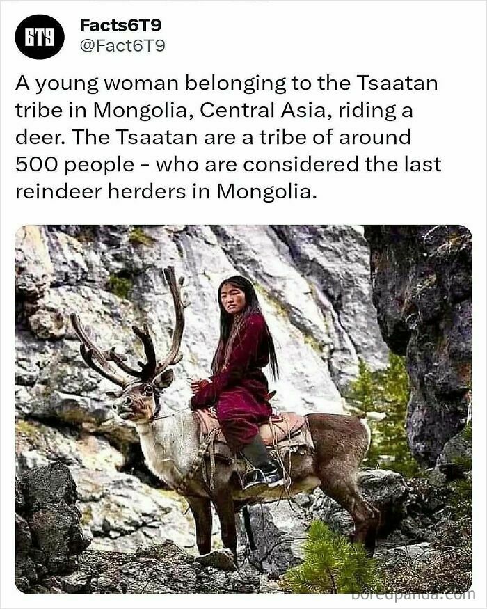A woman from the Tsaatan tribe in Mongolia rides a reindeer in a rocky landscape, illustrating domestication.