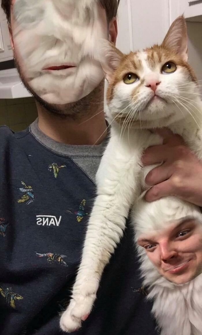 Person with face-swapped cat, creating a humorous scene of a bad day.
