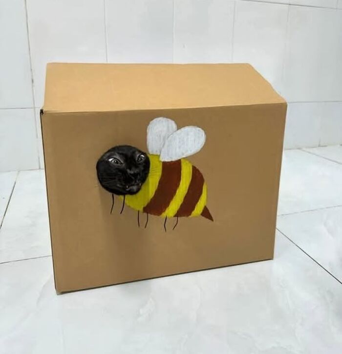 Cardboard box with funny painted bee featuring a cat's face, capturing hilarious animal moments.