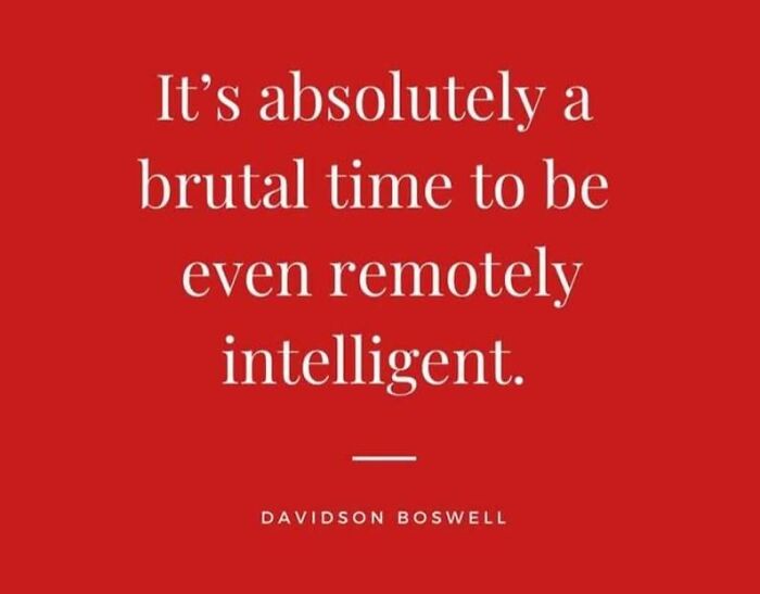 Red background with text expressing frustration, highlighting a brutal time for intelligence under capitalism.