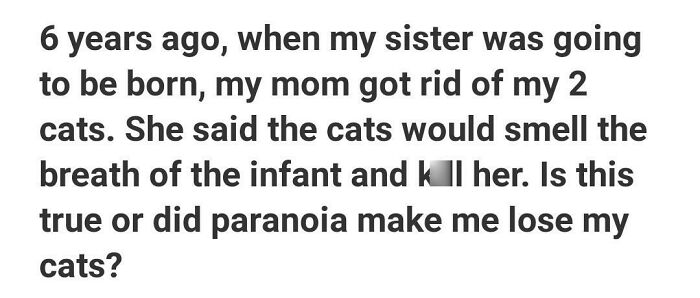 ALT text: A weird or unfortunate Quora question about a mom getting rid of cats fearing they would harm a newborn infant.
