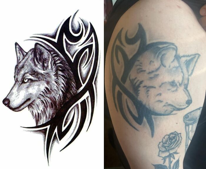 Wolf tattoo design shown alongside a wild tattoo fail of a distorted wolf on a person’s upper arm.