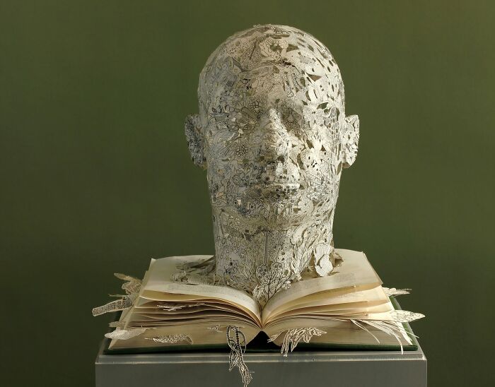 Paper sculpture of a detailed human head emerging from a book, showcasing intricate artistry.
