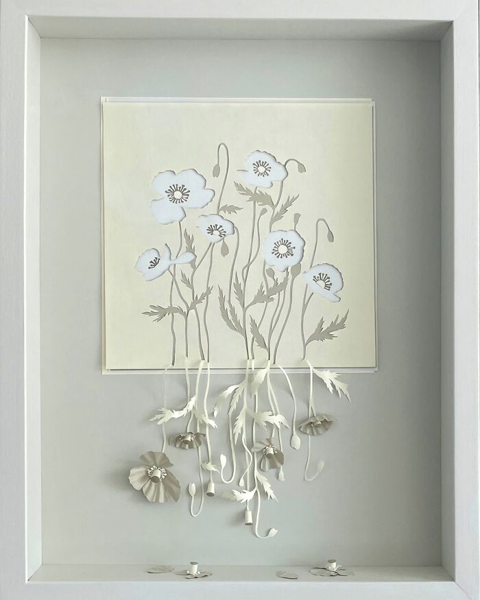 Paper art by Peter Callesen depicting delicate flowers intricately cut and displayed in a shadow box.
