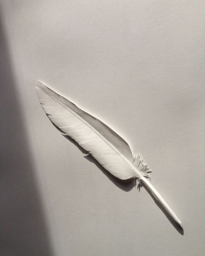 Paper art by Peter Callesen depicting a delicate feather, showcasing breathtaking miniature craftsmanship.