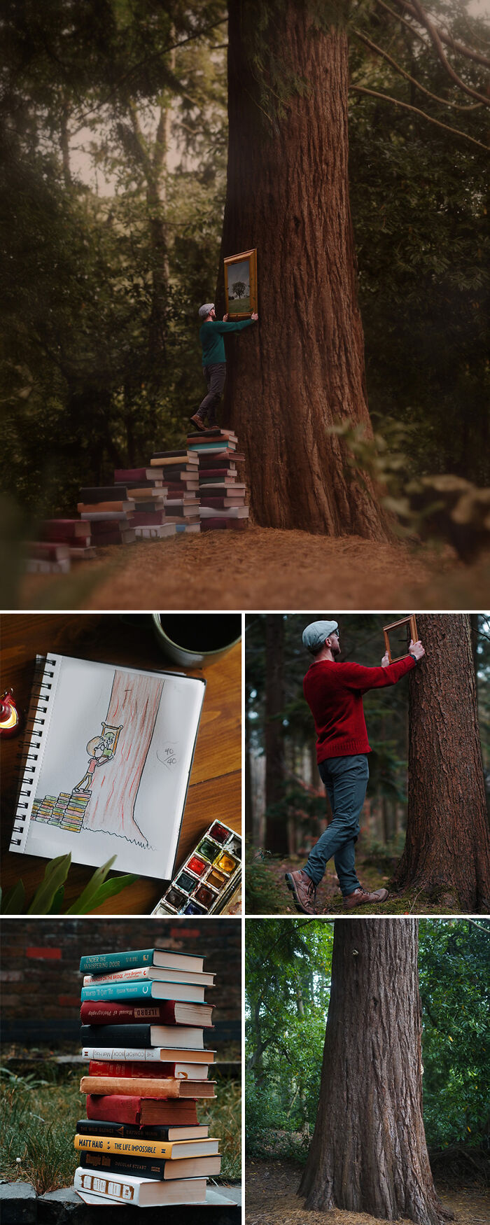 Photo manipulation by Joel Robison shows a person placing a framed picture on a towering tree.