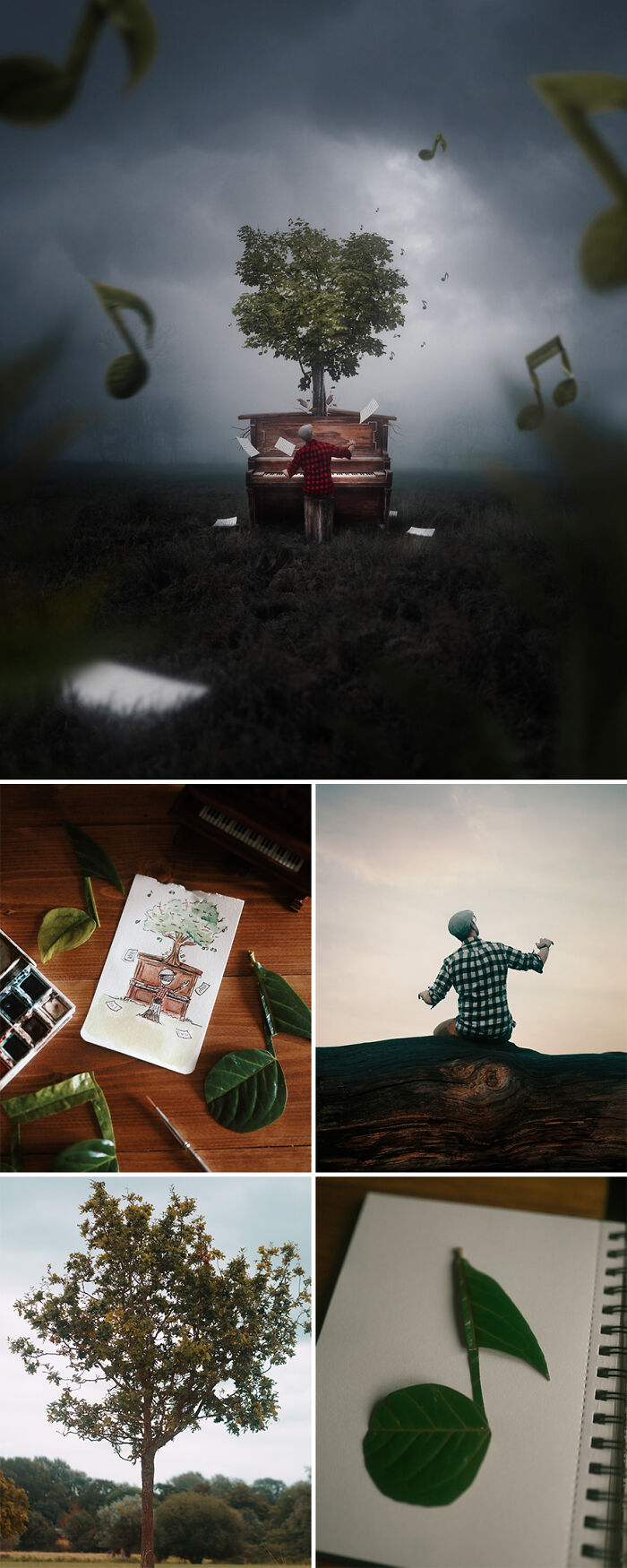 Photo manipulation by Joel Robison featuring a tree growing from a piano with musical notes.