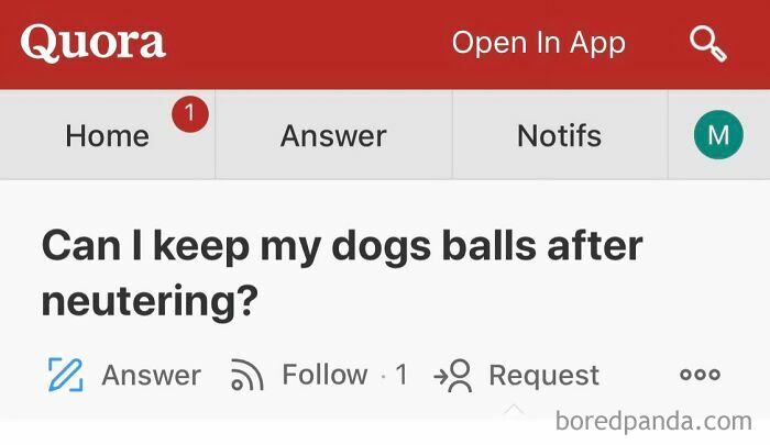Screenshot of a weird Quora question asking if dogs' testicles can be kept after neutering on the Q&A platform.