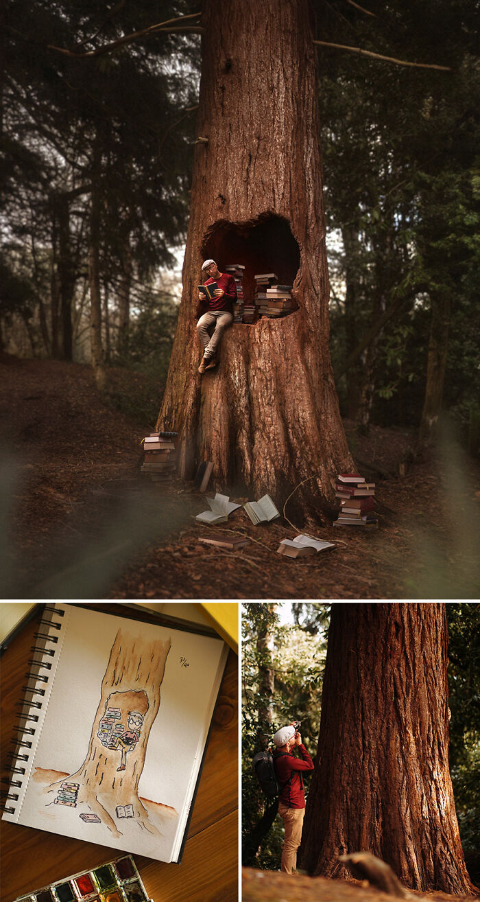 Photo manipulation of a person sitting in a large tree, reading surrounded by books in a forest setting.