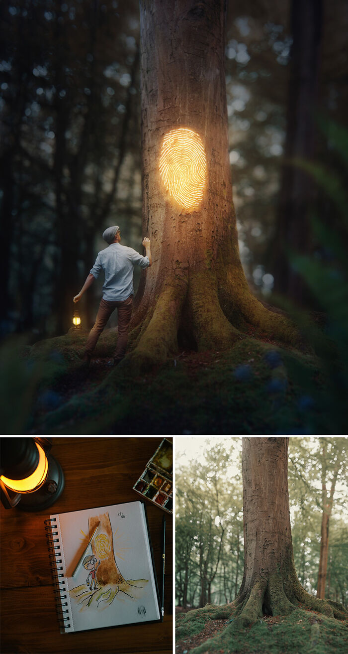Man admires illuminated tree in forest; sketch and painting tools show photo manipulation process by Joel Robison.
