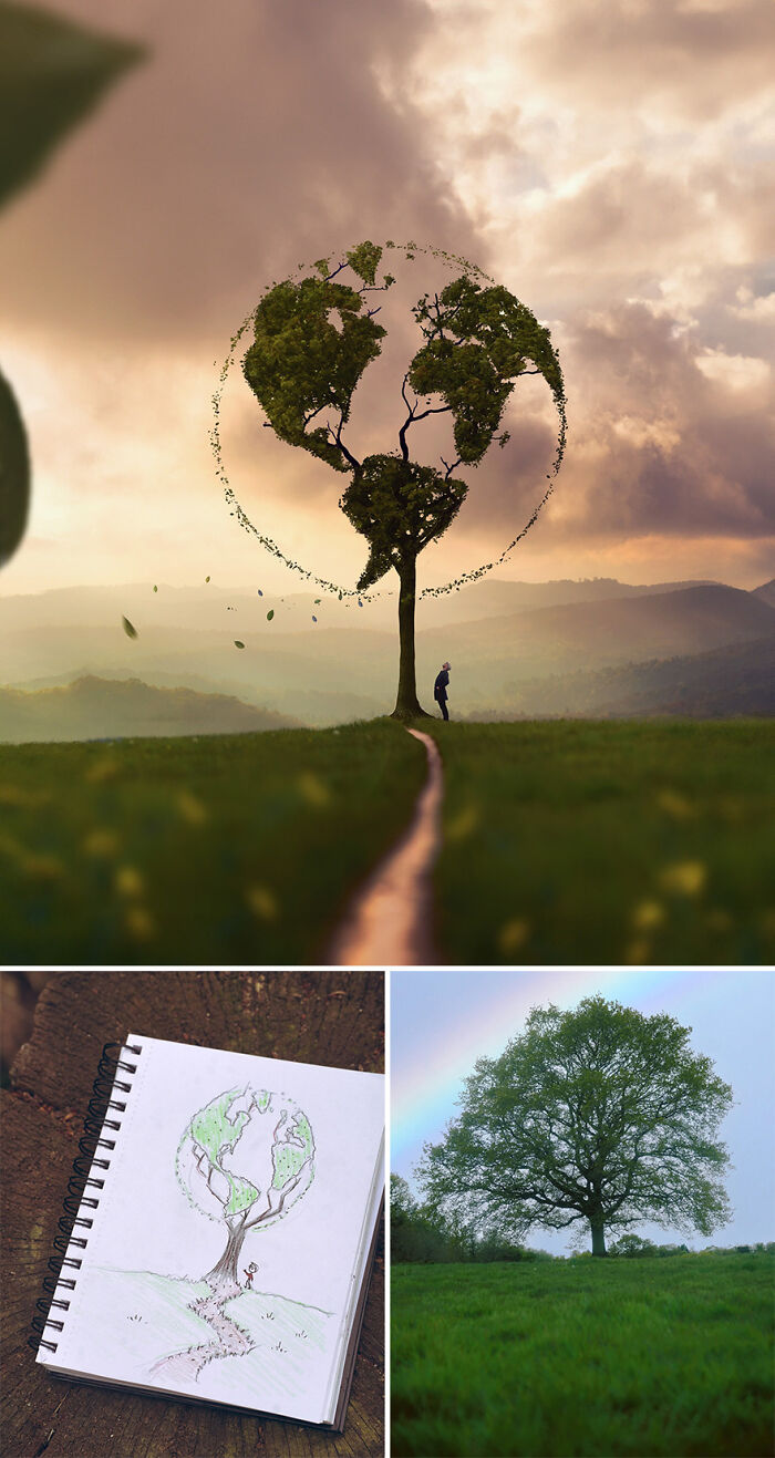 Photo manipulation by Joel Robison showing a tree shaped like Earth's continents, a sketch, and a real tree.