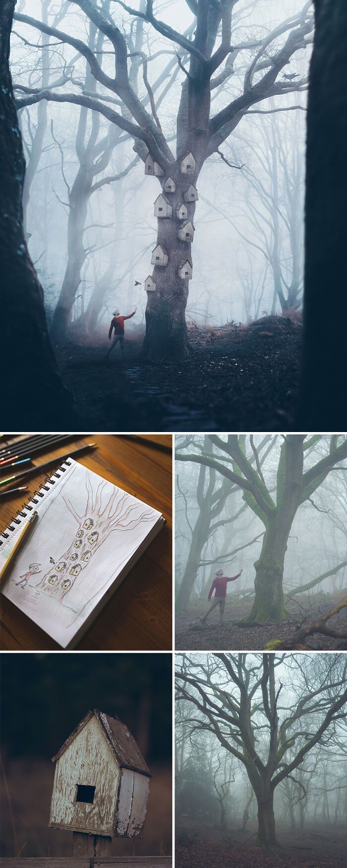 Photo manipulation featuring tree with birdhouses in misty forest by Joel Robison, inspired by a sketch.